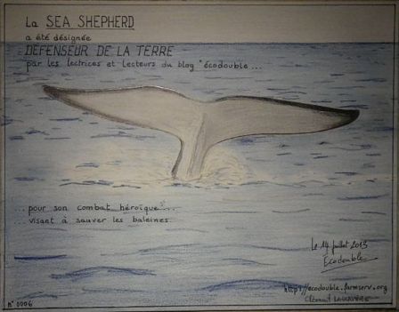 Diplôme Sea Shepherd